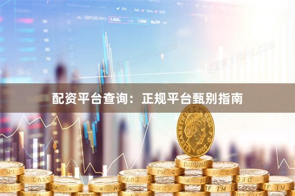 配资平台查询：正规平台甄别指南