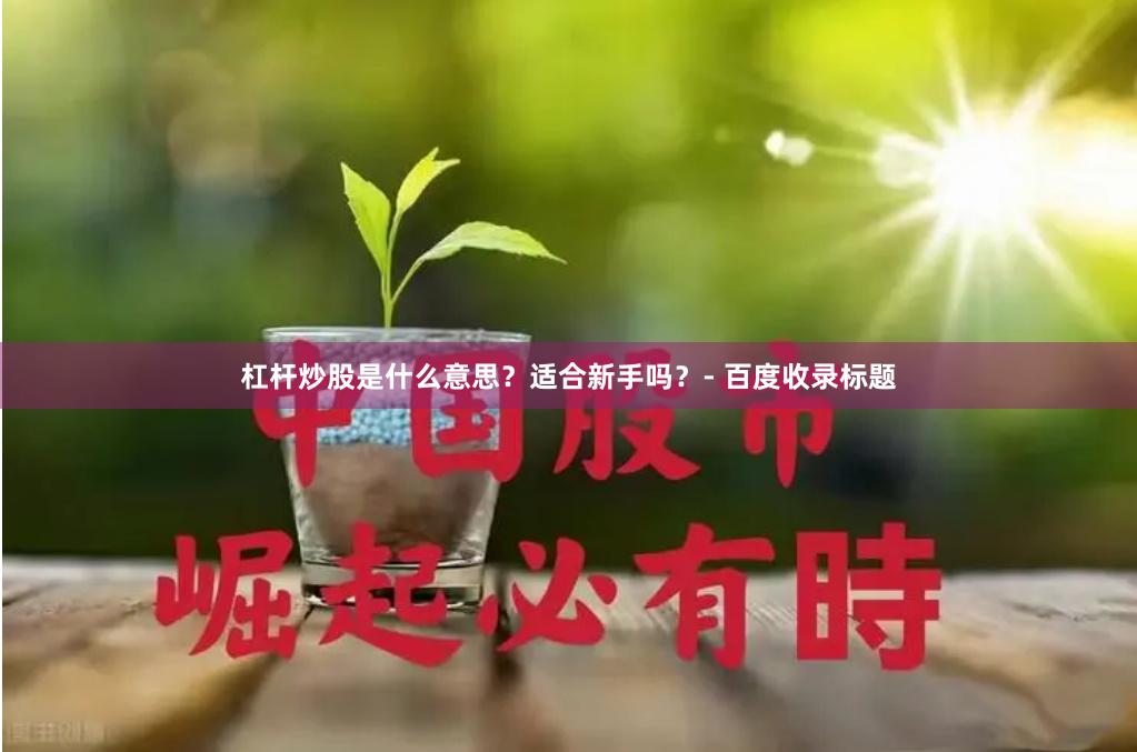 杠杆炒股是什么意思？适合新手吗？- 百度收录标题